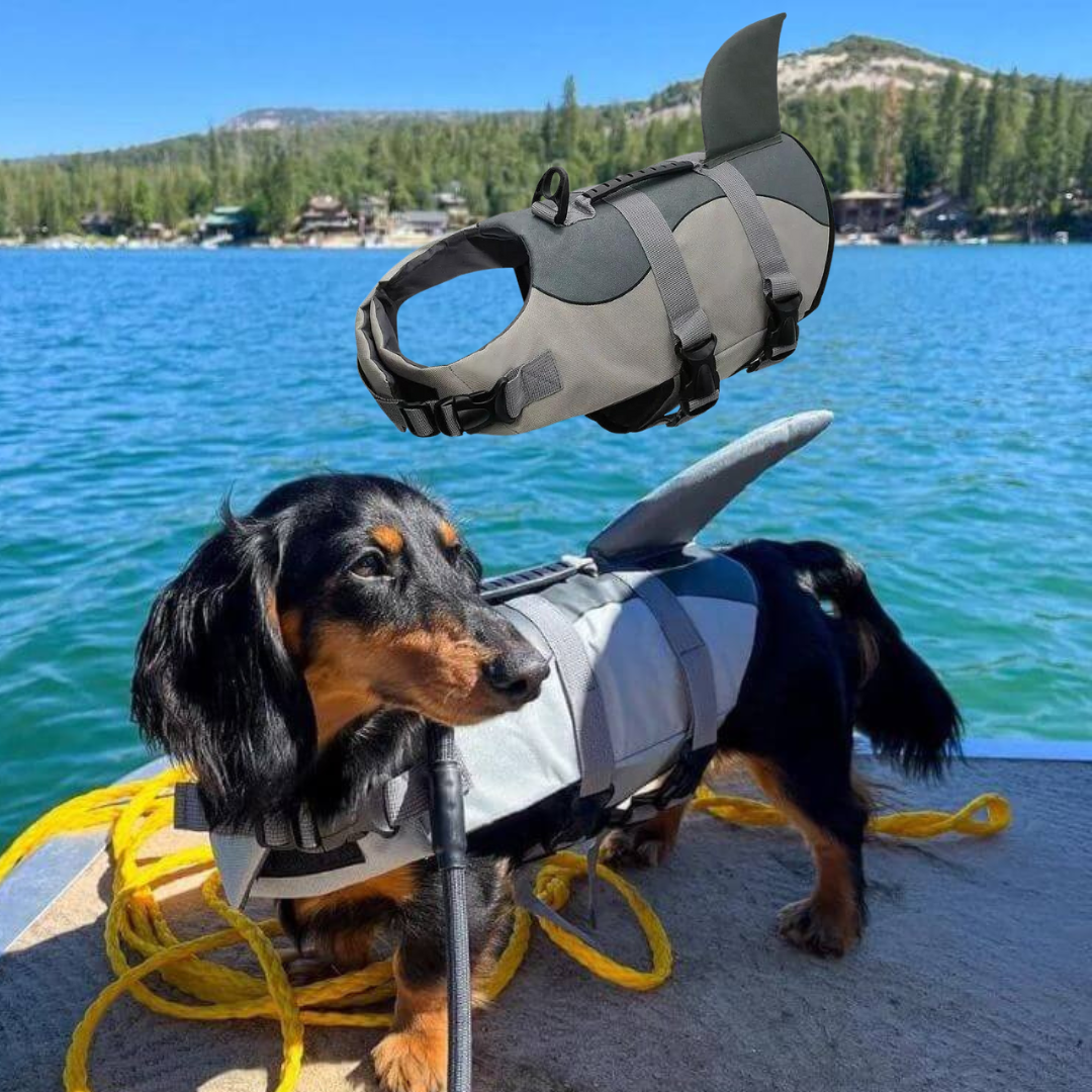 Doxie-Shark-Swim-Vest-Life-Jacket-with-Handle-for-Water-Safety-www.doxie.us