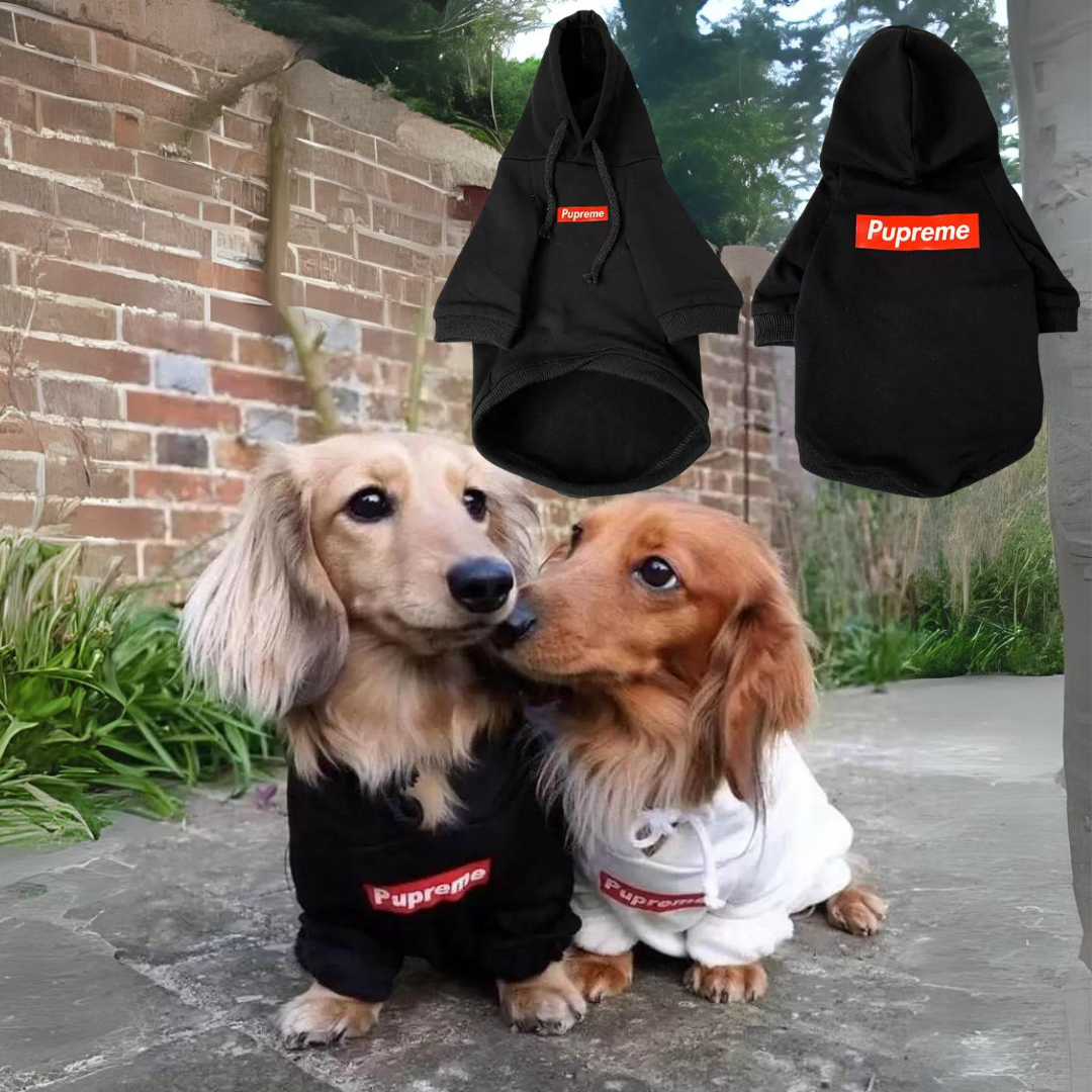 Dachshund Pupreme Hoodie