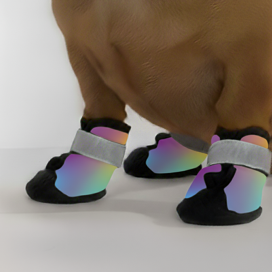 Chewie – Premium Dachshund Winter Booties