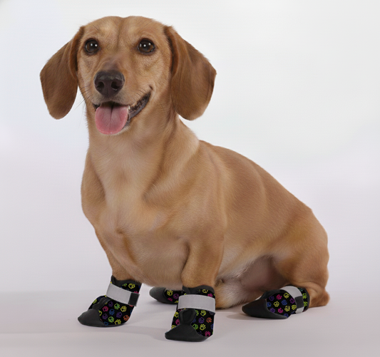 Rudy – Premium Dachshund Winter Booties
