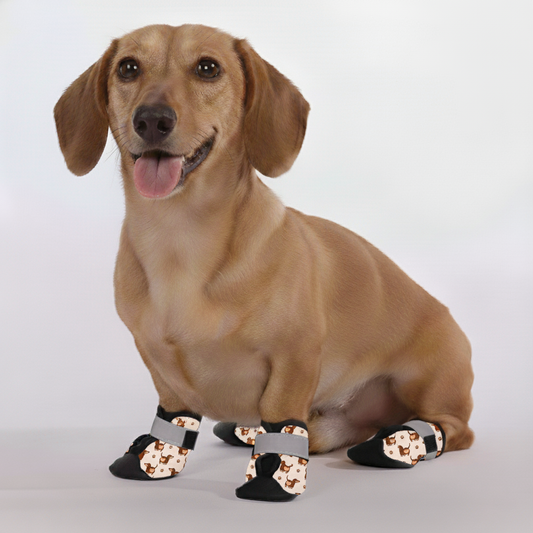 Benji – Premium Dachshund Winter Booties