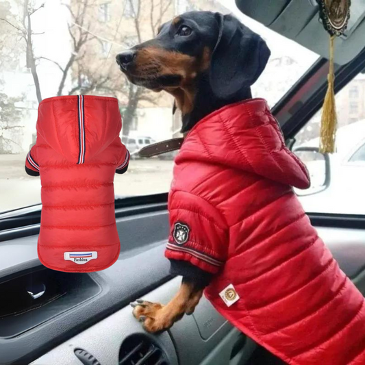 FurFluff Cozy Dachshund Puffer Jacket