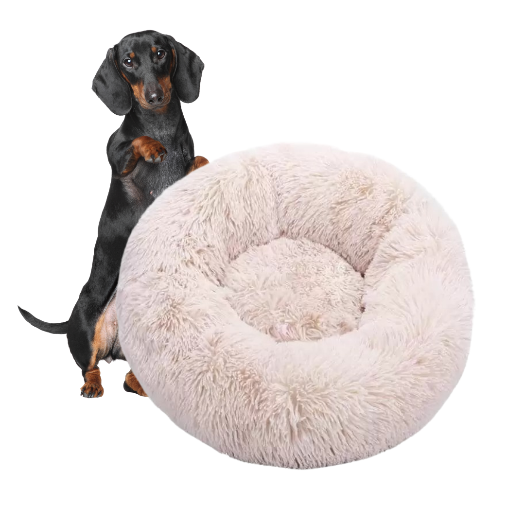 www.doxie.us-WoofLuxe-Dachshund-Donut-Bed