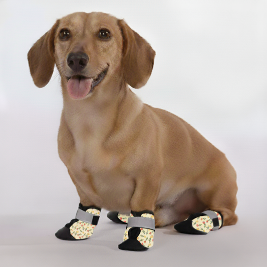 Toby – Premium Dachshund Winter Booties
