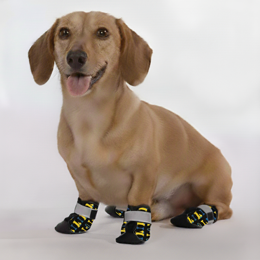 Piper – Premium Dachshund Winter Booties