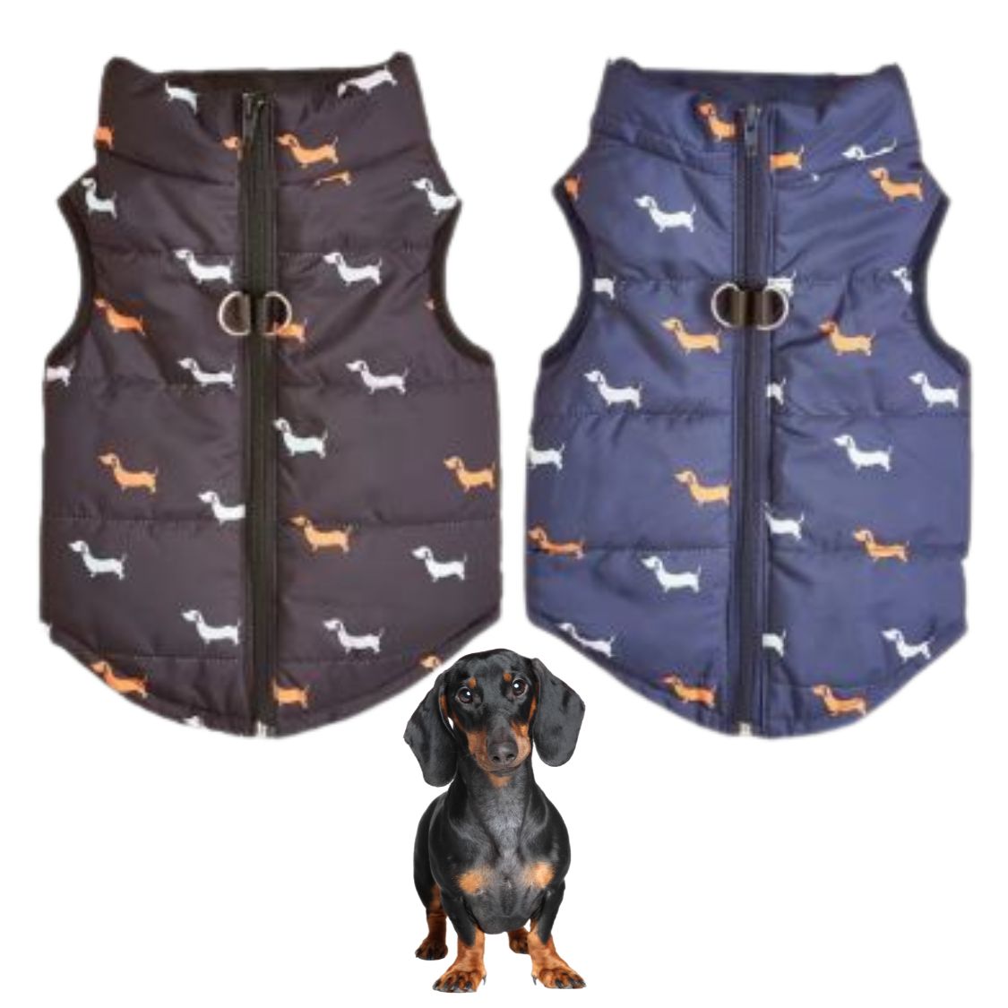 Dachshund Winter Zipper Coat - Windproof Warm Vest for Small Pets