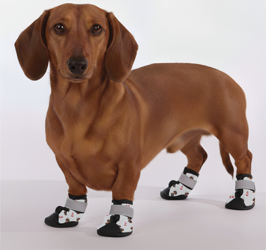 Balder – Premium Dachshund Winter Booties