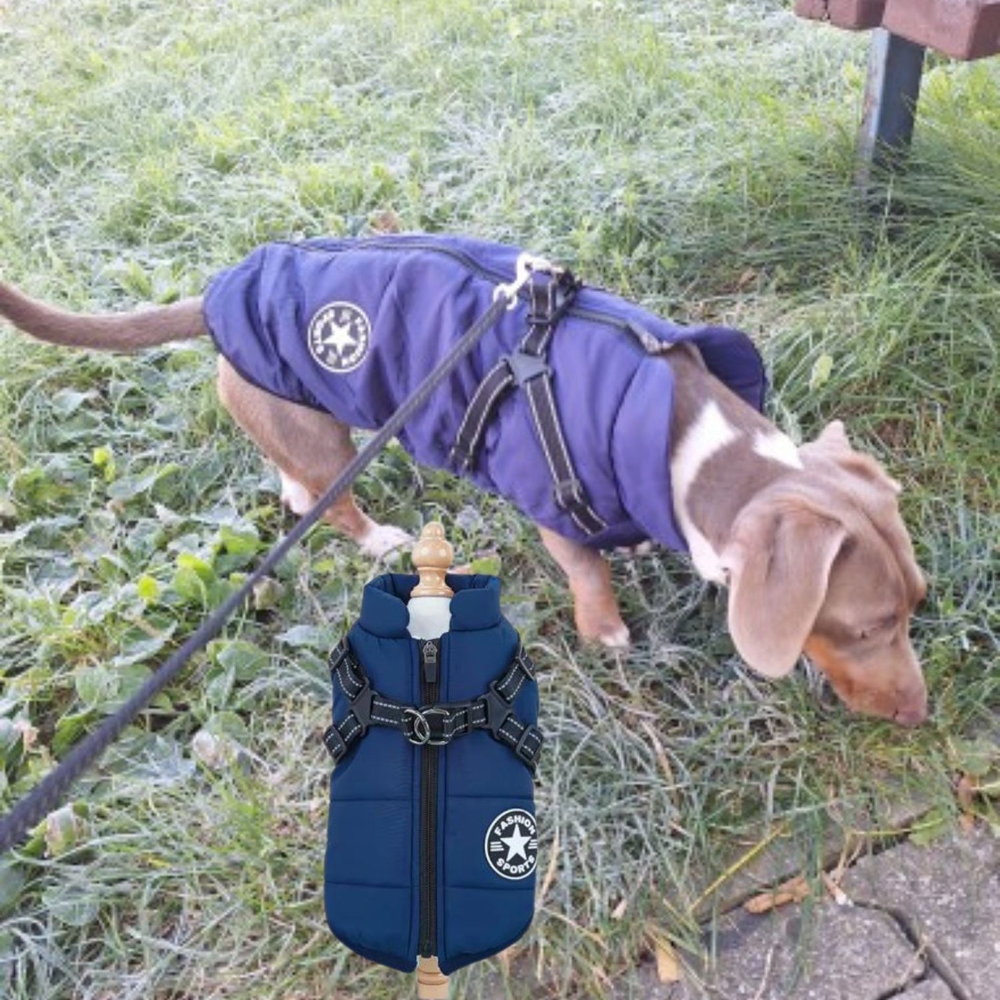 FrostGuard Chaqueta impermeable con arnés para perro salchicha de invierno