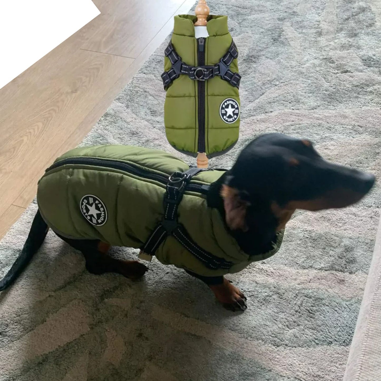 FrostGuard Chaqueta impermeable con arnés para perro salchicha de invierno