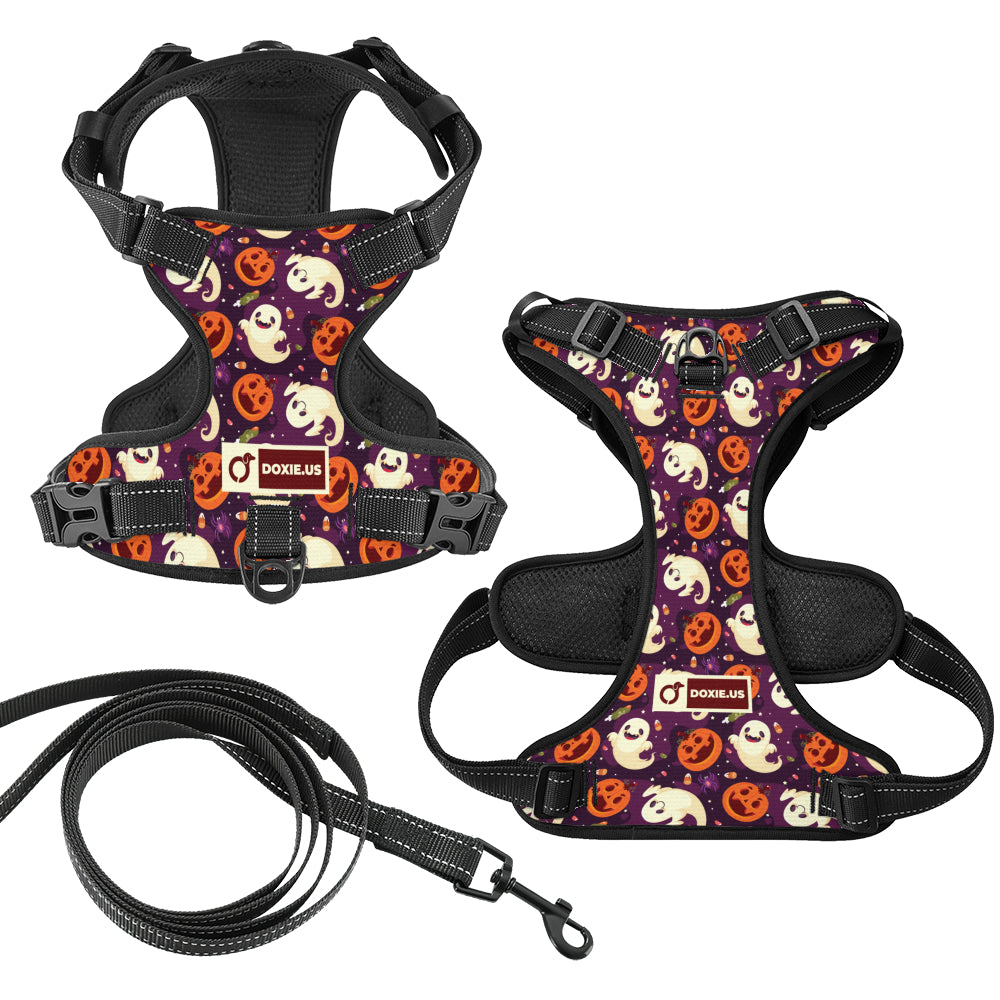 Rosie -  No-Pull Dachshund Dog Harness
