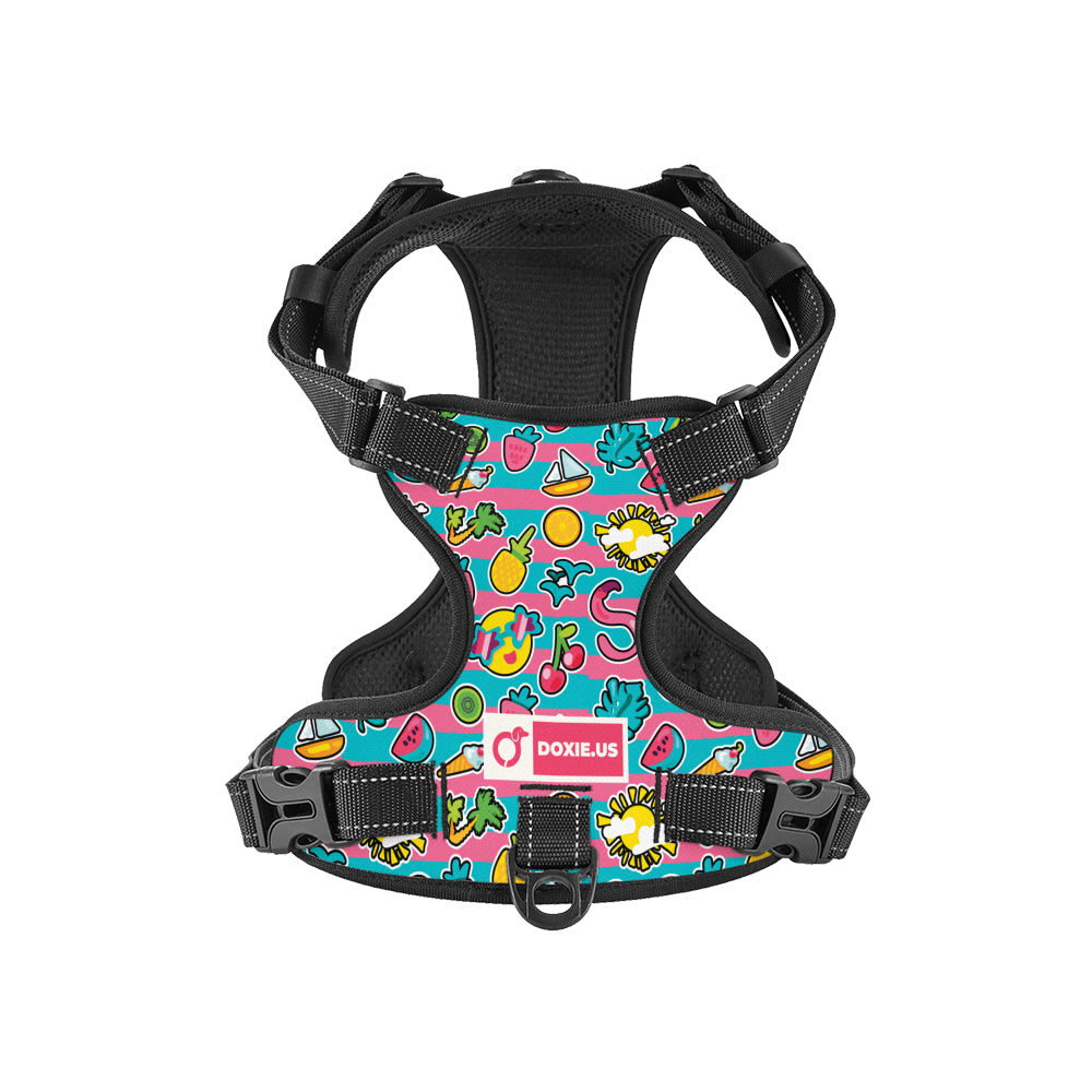 Franz -  No-Pull Dachshund Dog Harness