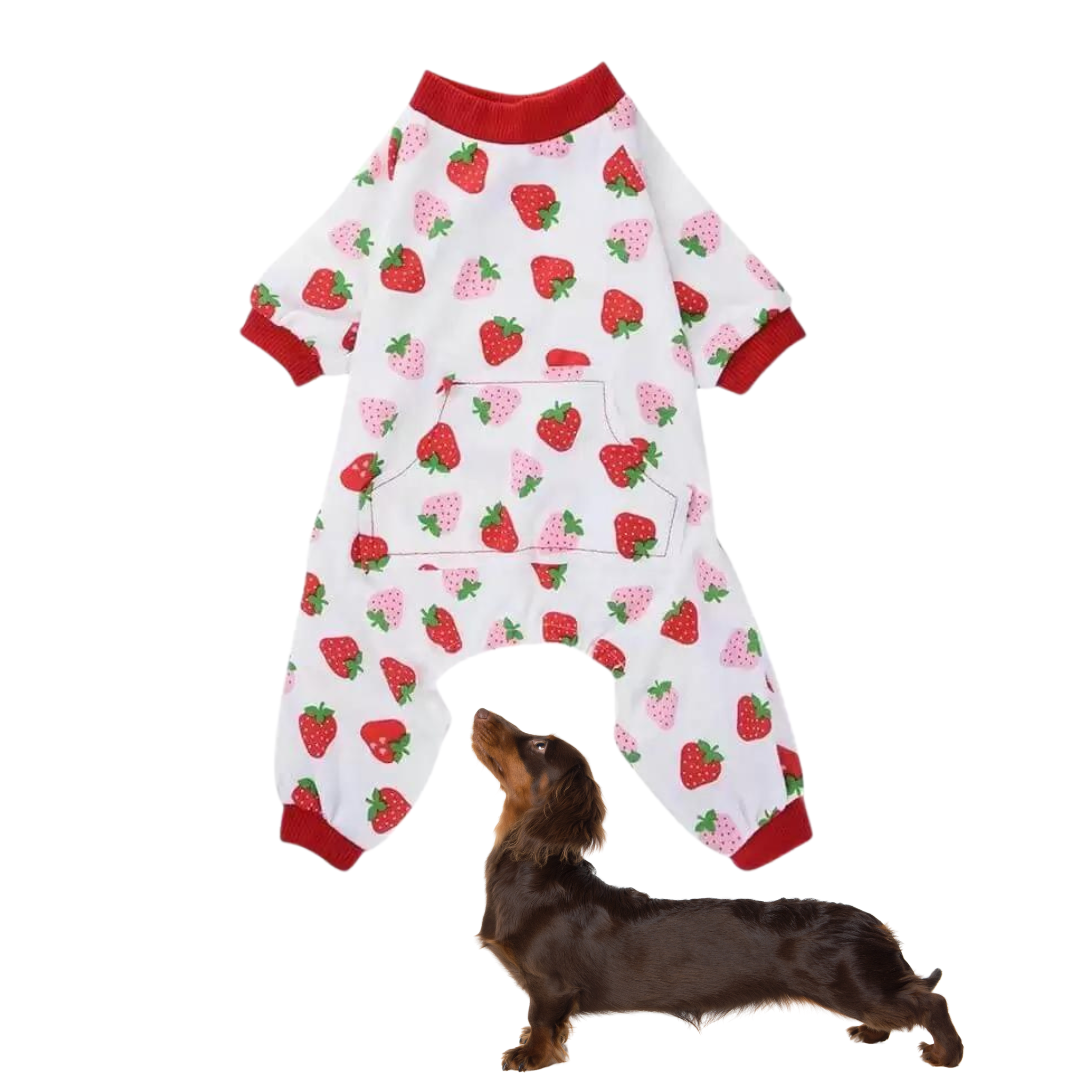 Adorable-Doxie-Pajamas-Jumpsuit-www.doxie.us