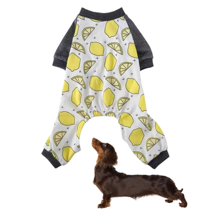 Adorable-Doxie-Pajamas-Jumpsuit-www.doxie.us