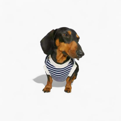AhoyPup-Dachshund-Sailor-Vest.jpg