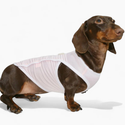 Airpawz-Dachshund-Summer-Vest.jpg