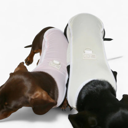 Airpawz-Dachshund-Summer-Vest.jpg