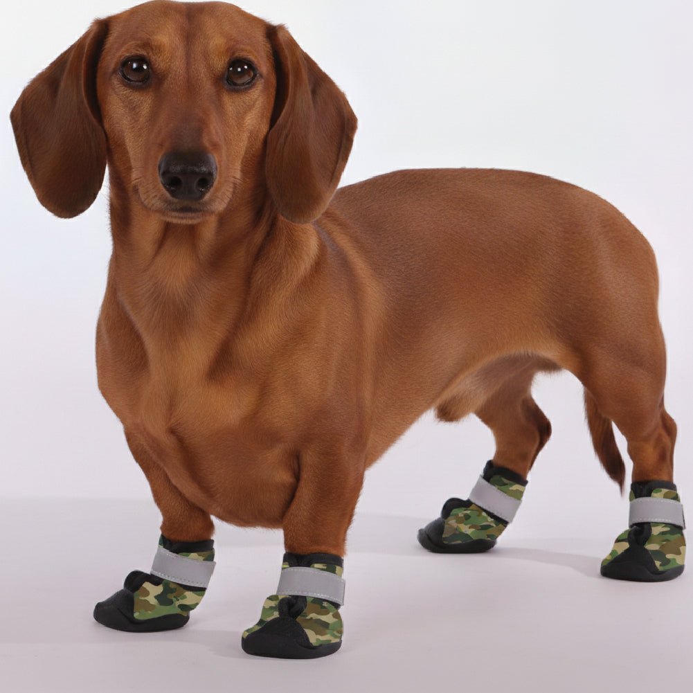 Thor – Premium Dachshund Winter Booties
