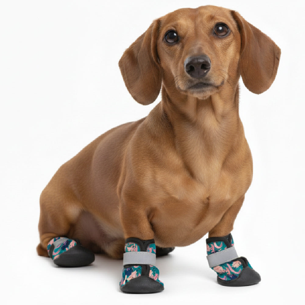 Odin – Premium Dachshund Winter Booties