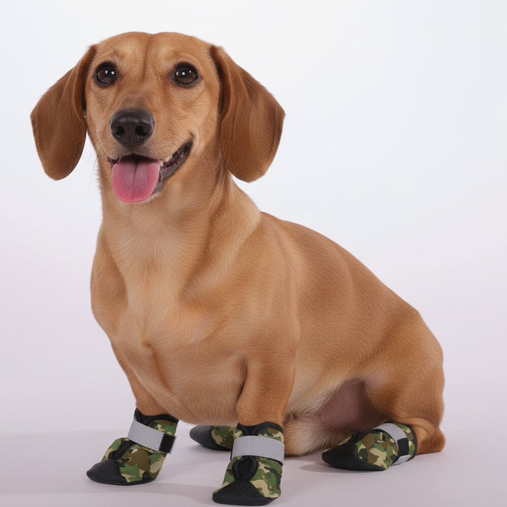 Thor – Premium Dachshund Winter Booties