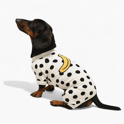 BananaPup-Dachshund-Pajamas.jpg