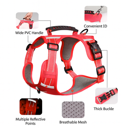 BarkLuxe-Dachshund-Harness-Leash-Set.jpg