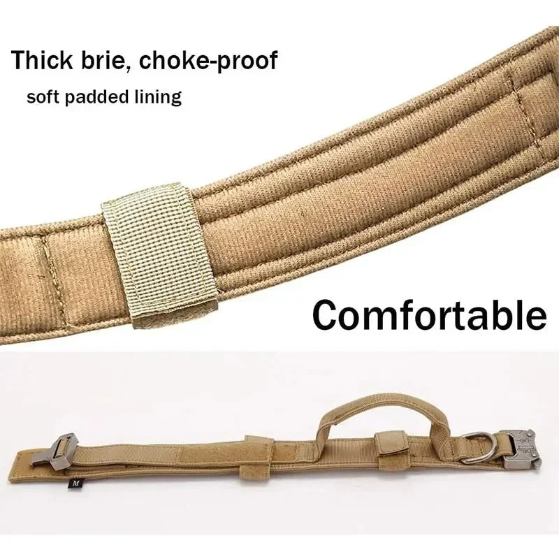 BarkOps-Dachshund-Tactical-Collar.jpg