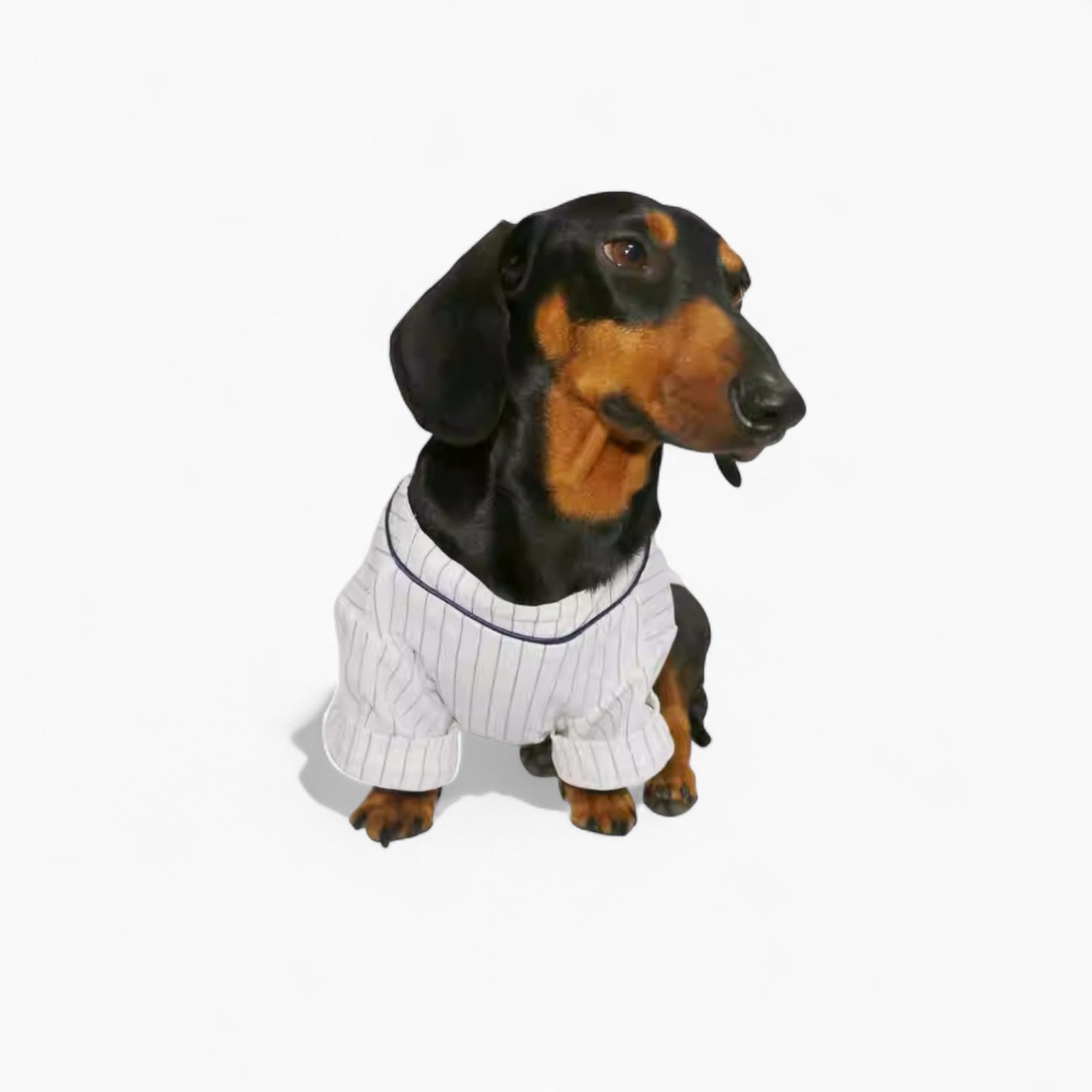 BasePup-Dachshund-Baseball-Jersey.jpg