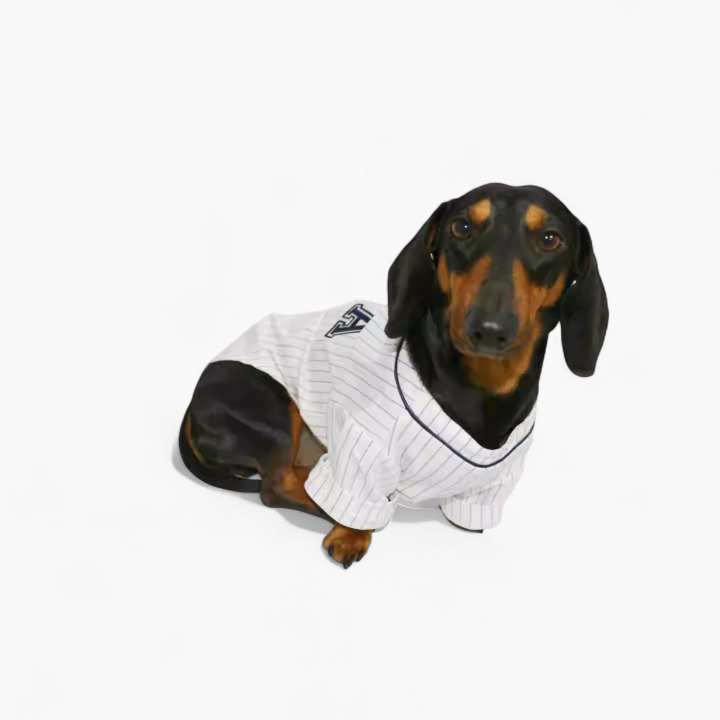 BasePup-Dachshund-Baseball-Jersey.jpg