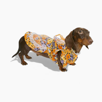 BloomBow-Dachshund-Summer-Dress.jpg
