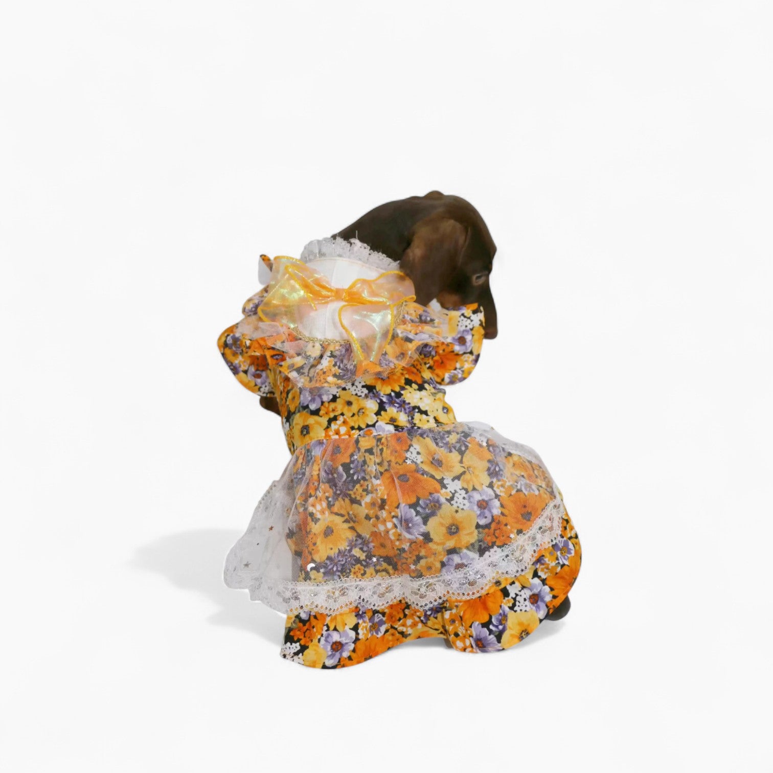 BloomBow-Dachshund-Summer-Dress.jpg
