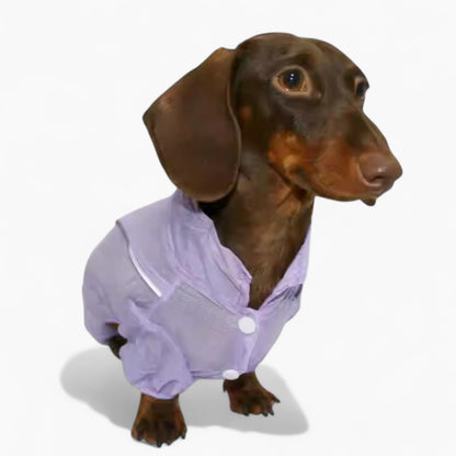 BreezeGuard-Dachshund-Summer-Suit.jpg