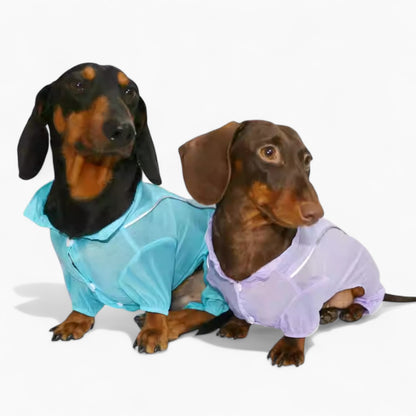 BreezeGuard-Dachshund-Summer-Suit.jpg