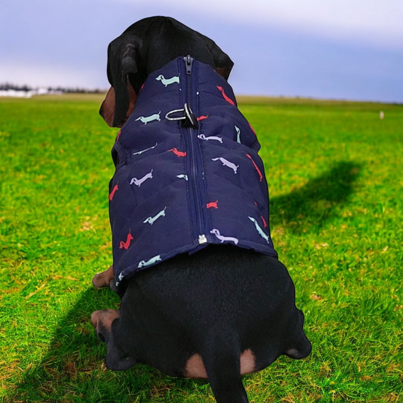 Dachshund Winter Zipper Coat - Windproof Warm Vest for Small Pets