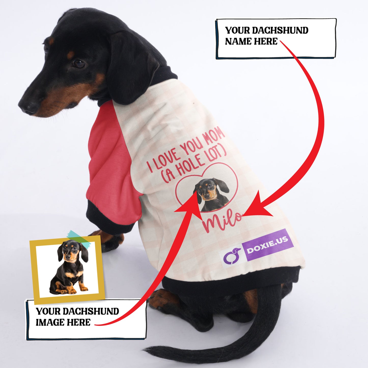 Dachshund Jacket Customized with Your Pet's Name and Picture