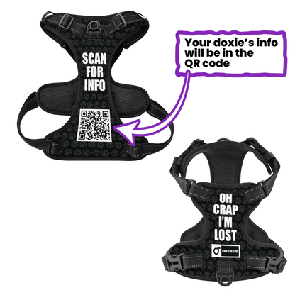 Cloud  -  Personalized No-Pull Dachshund Dog Harness