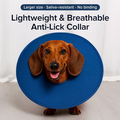 CoolPaw-Dachshund-Elizabethan-Collar.jpg