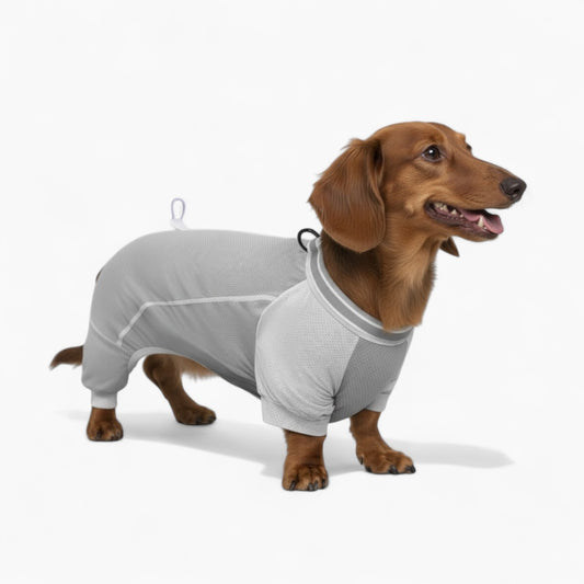 CoolPup-Dachshund-Summer-Clothe.jpg
