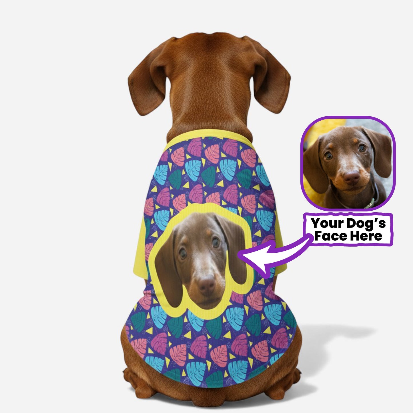 Kirby - Personalized Wool Sweater for Doxie