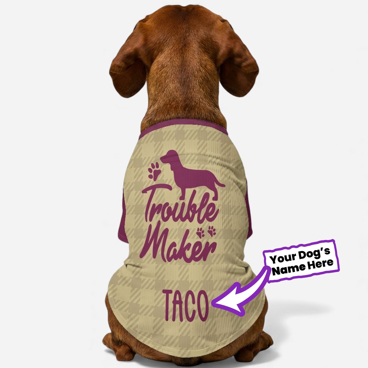 Vienna - Personalized Wool Sweater for Doxie