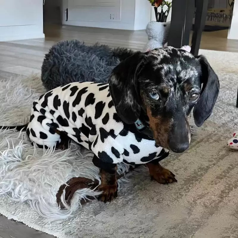 Cozy-Dachshund-Pajamas-Adorable-Jumpsuits-for-All-Seasons-www.doxie.us