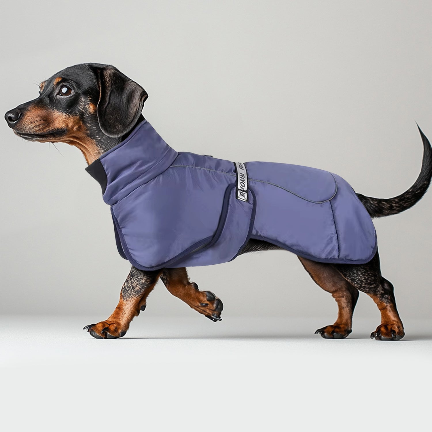 Cozy-Dachshund-Winter-Jacket-Thicken-Warm-Doxie-Coat-www.doxie.us