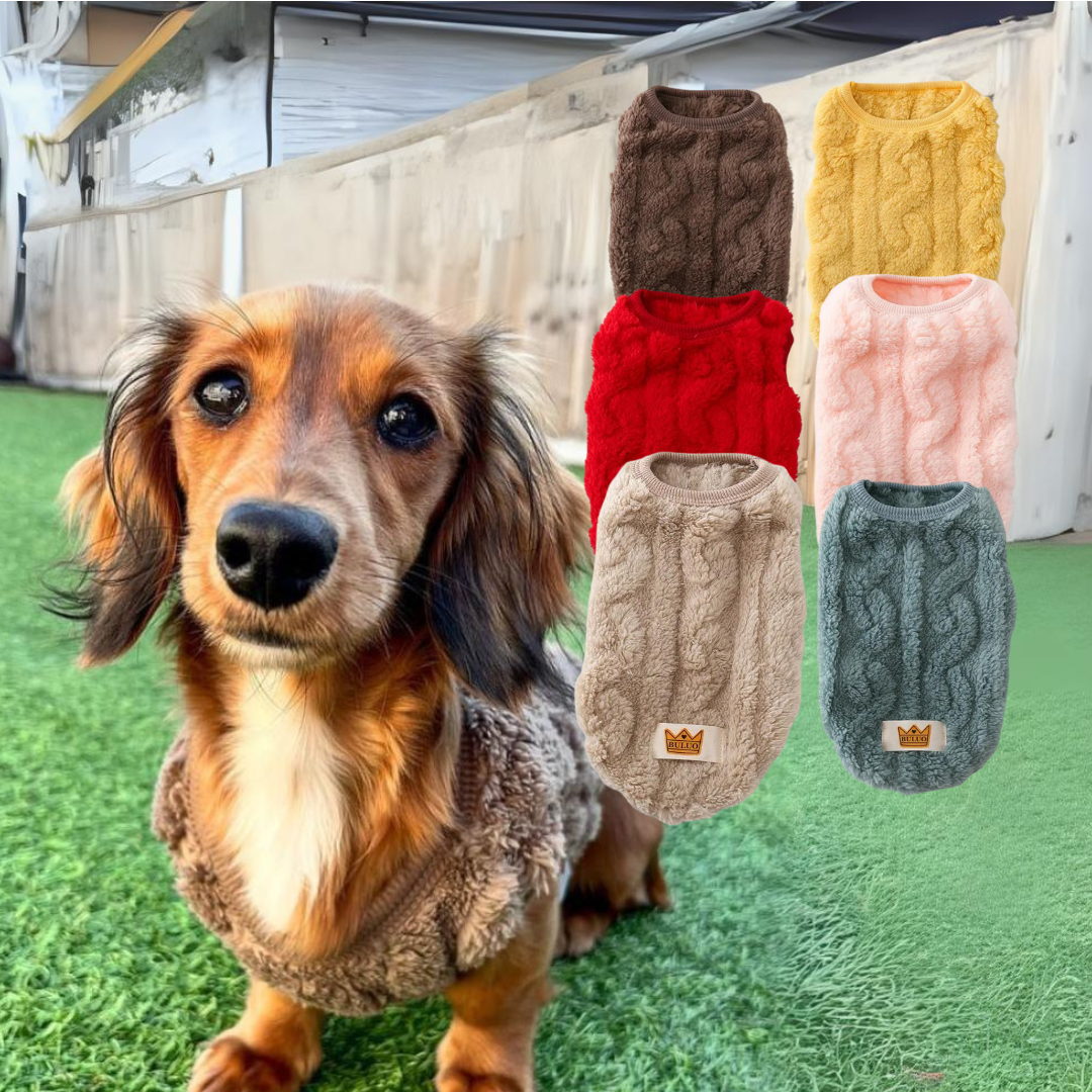 Cozy-Warm-Dachshund-Sweater-www.doxie.us