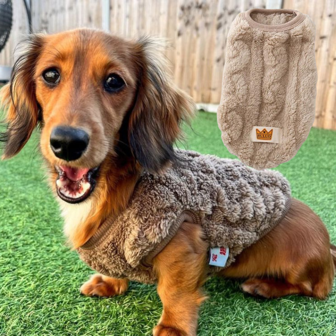 Cozy-Warm-Dachshund-Sweater-www.doxie.us