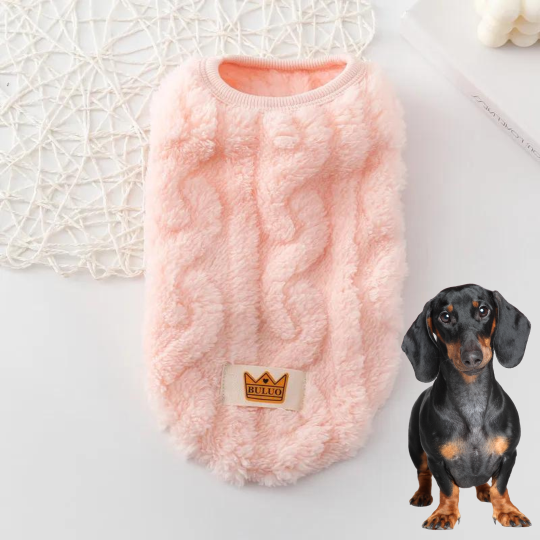 Cozy-Warm-Dachshund-Sweater-www.doxie.us