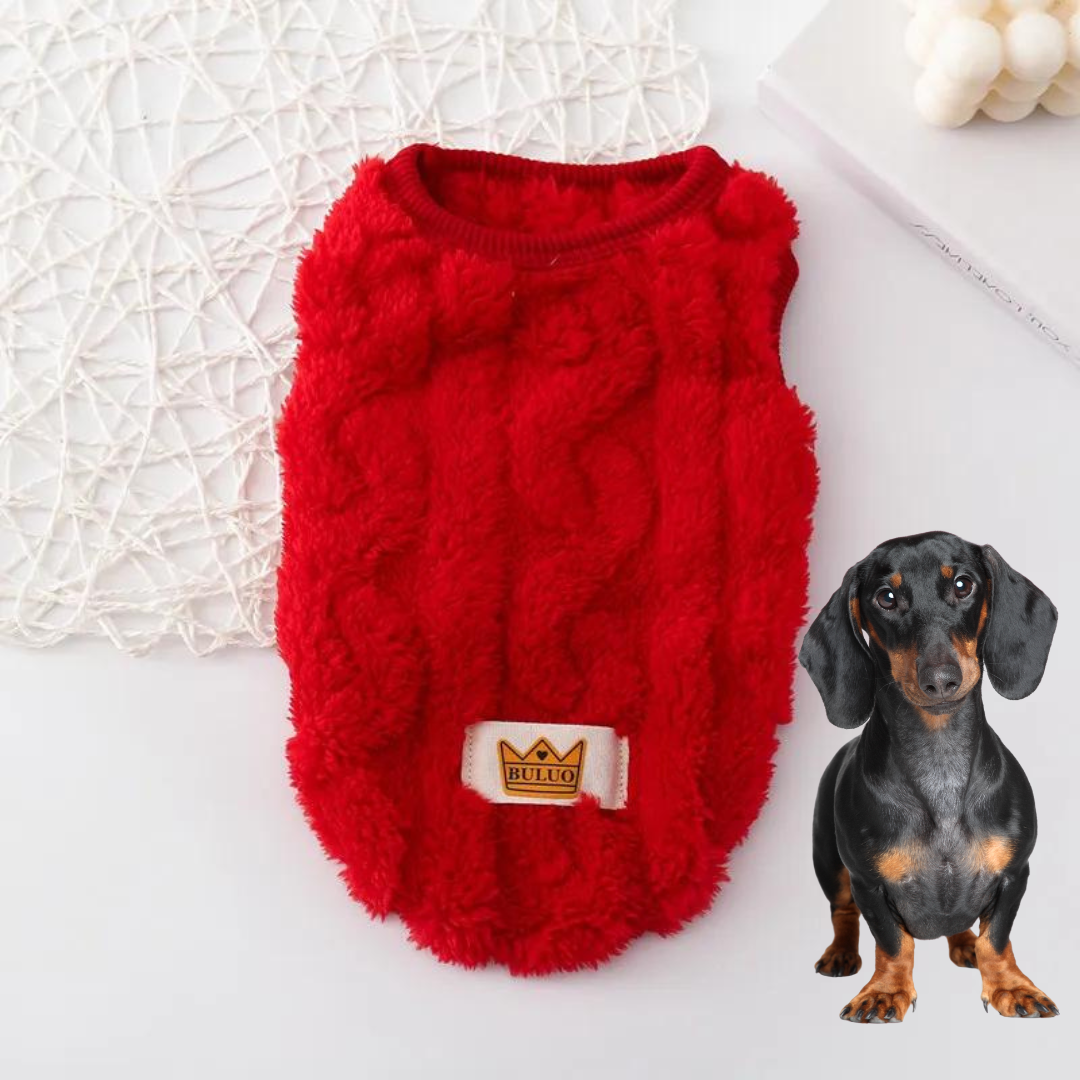 Cozy-Warm-Dachshund-Sweater-www.doxie.us