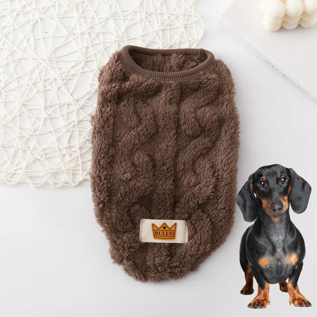 Cozy-Warm-Dachshund-Sweater-www.doxie.us