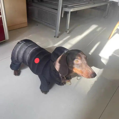 CozyPaw-Dachshund-Winter-Jacket.jpg