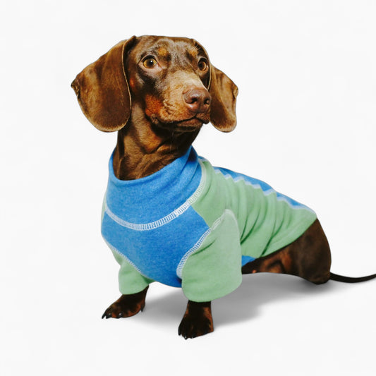 CozyTail-Dachshund-High-Neck-Shirt.jpg