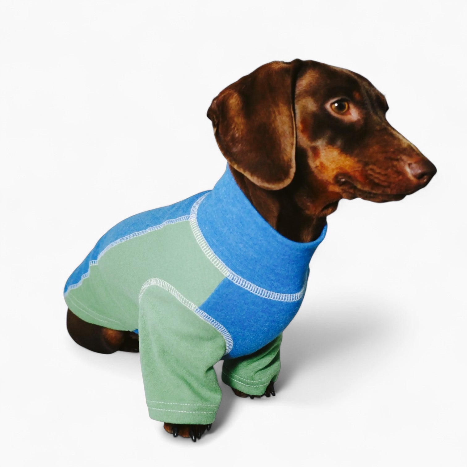 CozyTail-Dachshund-High-Neck-Shirt.jpg