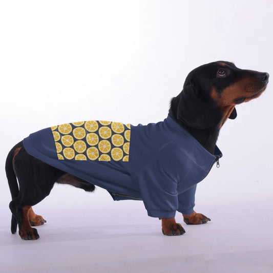 Moose  - zip-up hooded sweatshirt for dachshund